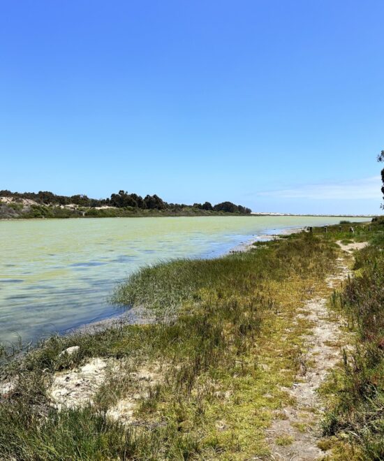 Camping Reserva Longotoma
