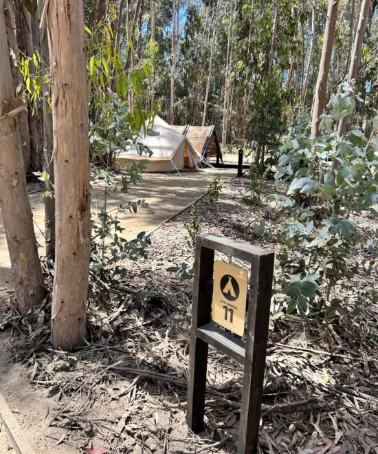 Camping Reserva Longotoma
