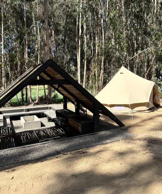 Camping Reserva Longotoma