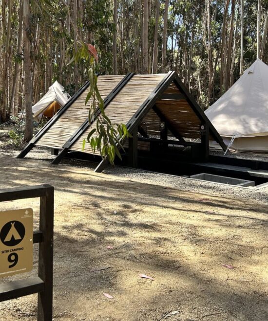 Camping Reserva Longotoma