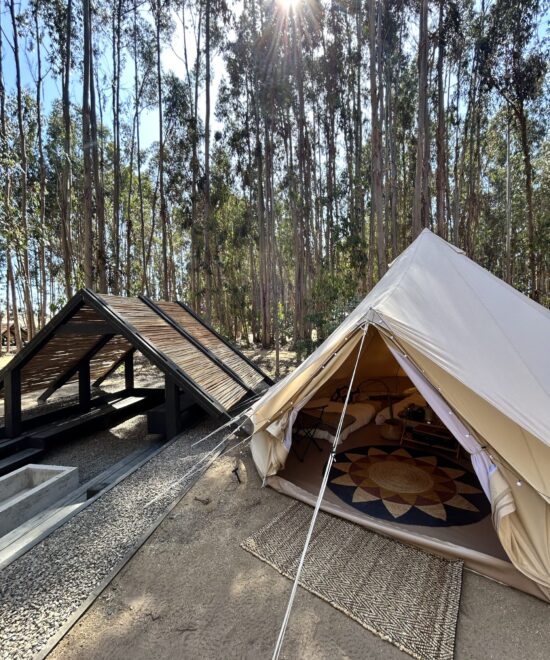 Camping Reserva Longotoma