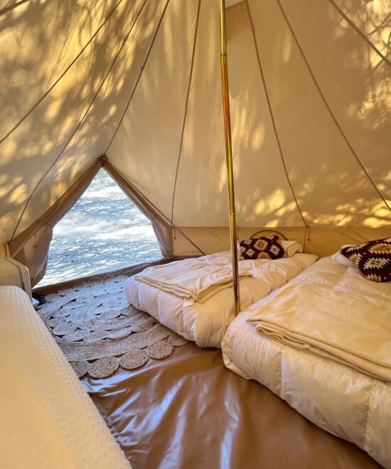 Camping Reserva Longotoma