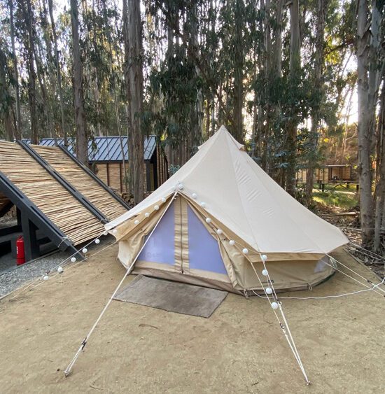Camping Reserva Longotoma