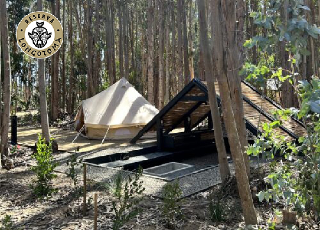 Longotoma - Camping Reserva Longotoma - 1 cama 2 plazas, 2 camas 1.5 plazas - Sitio Pilpilén QG 01