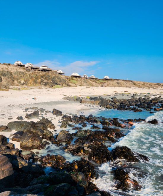 Punta de Choros