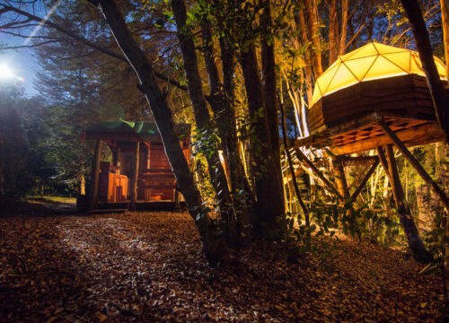 Curacautín – Vórtice Chile – 1 cama 2 plazas – Domo Tree House 1