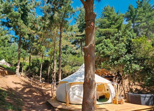 Matanzas - Glamping Matanzas - 1 cama King, 1 cama nido - Carpa Maqui