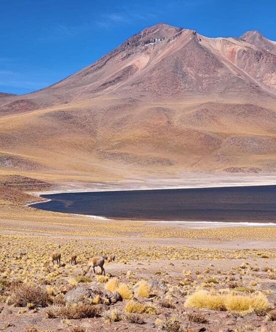 San Pedro de Atacama