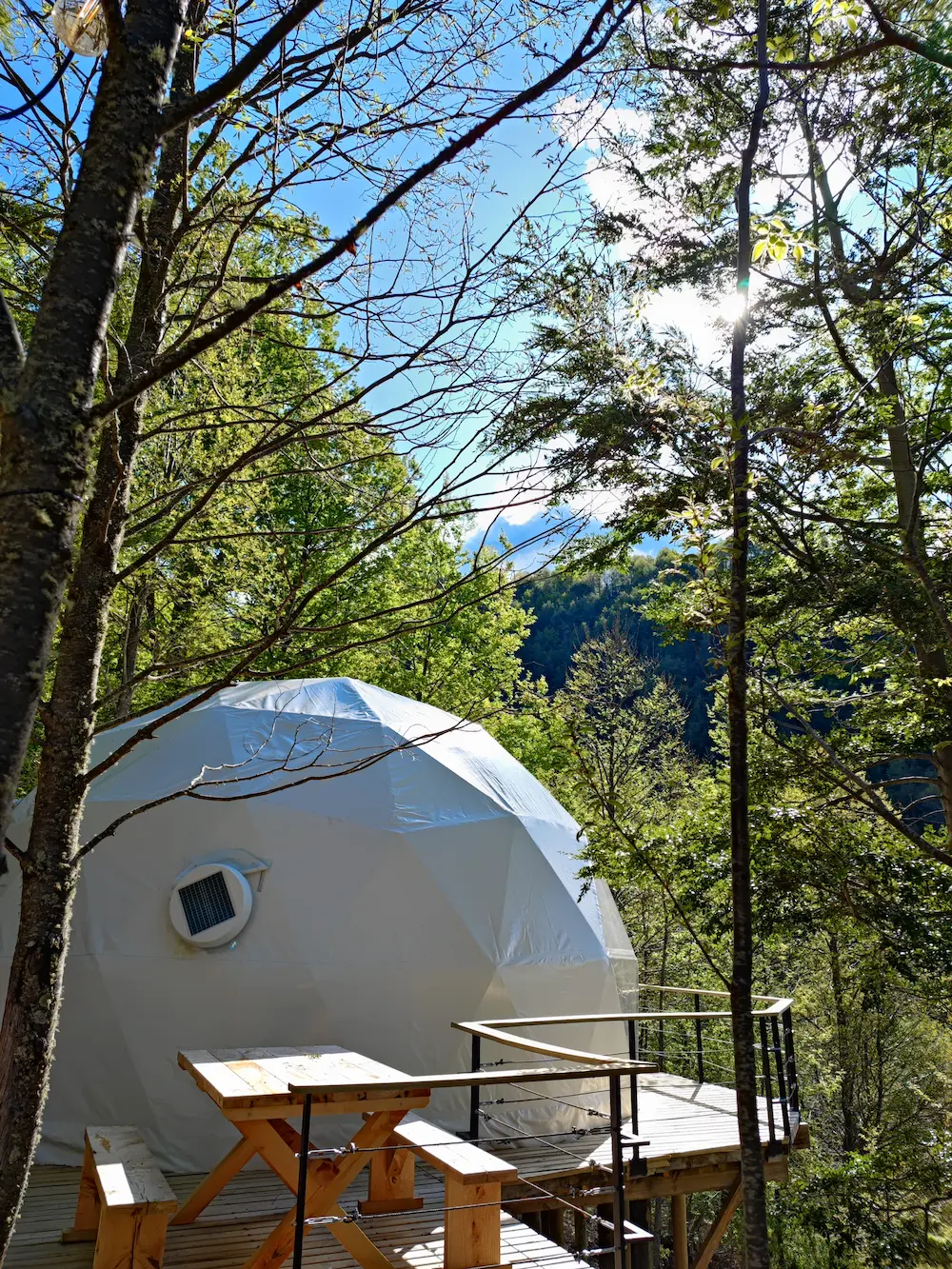 ecoglamp (1) (1)