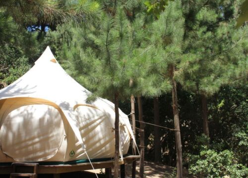 Matanzas - Glamping Matanzas - 1 cama King, 1 cama nido - Carpa Peumo